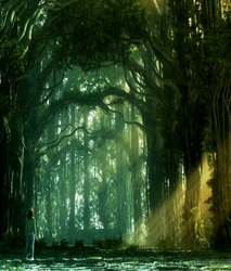Cathedral_of_the_Forest_Wallpaper_outka
