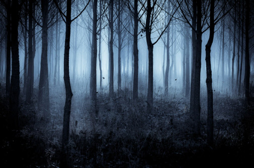 ghostwoods