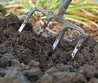 turning the soil